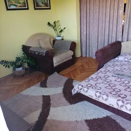 Apartment Dragacevo