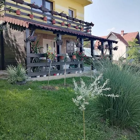 Dragacevo