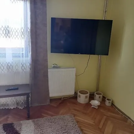 Apartment Dragacevo *